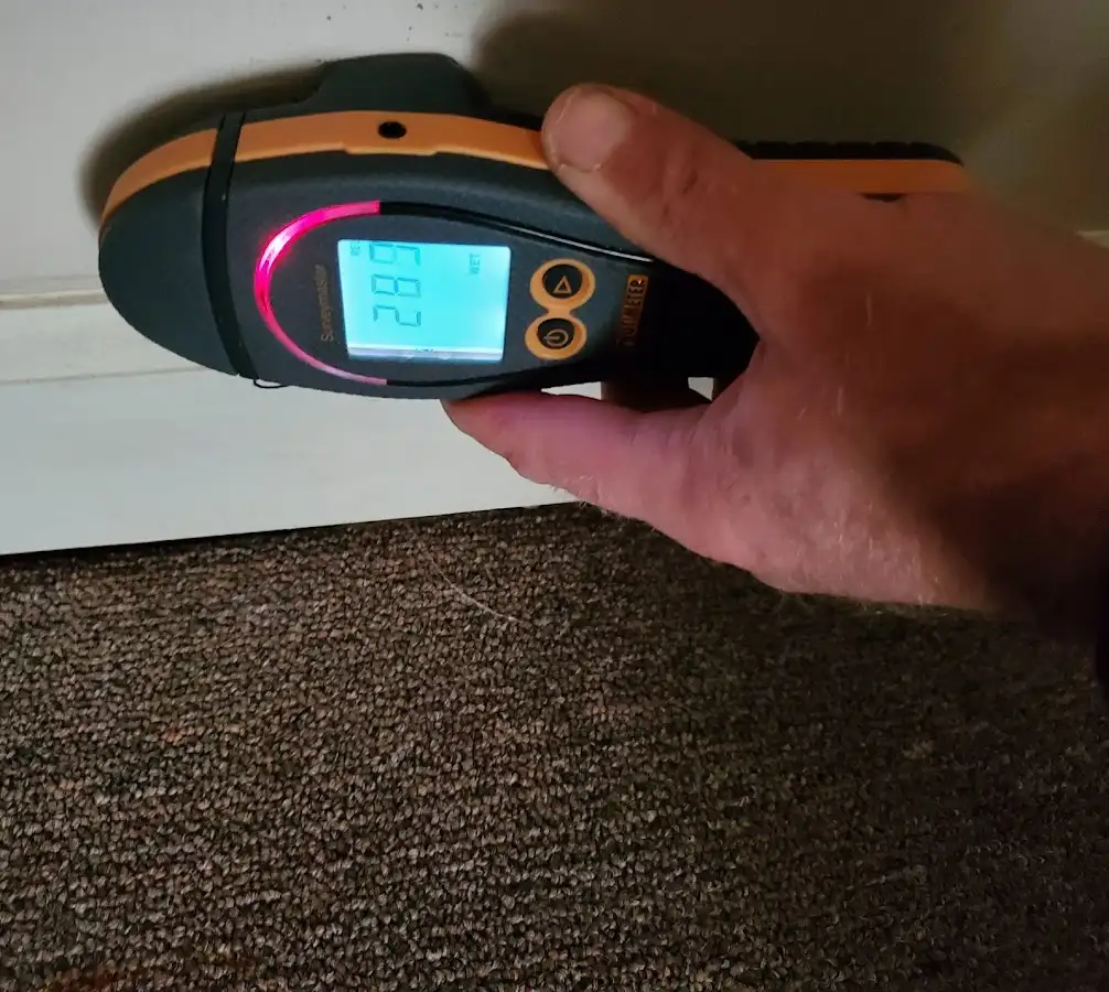 Moisture detection at baseboard during Burst Pipe Cleanup in Marshfield